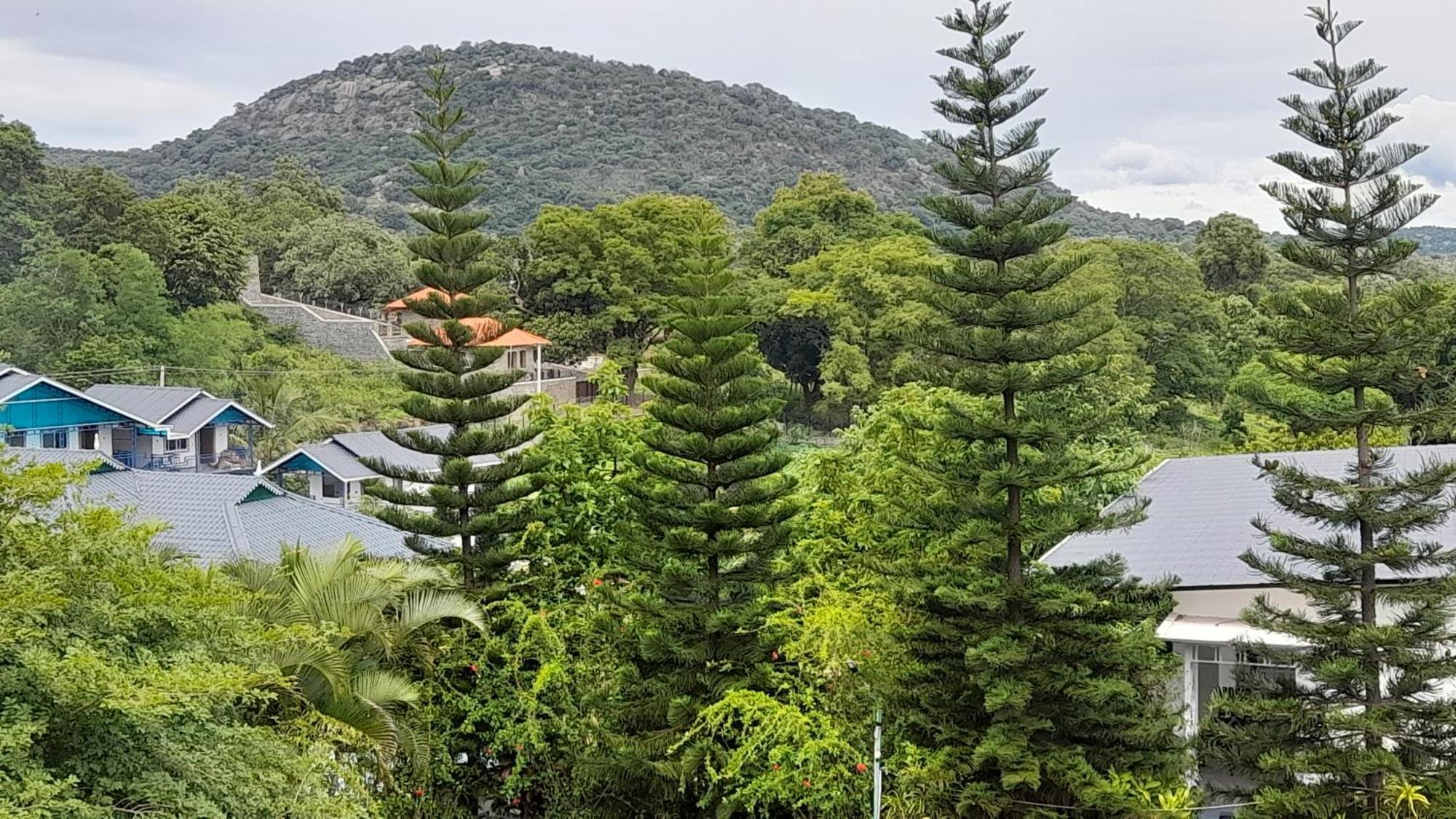 Mgm Whispering Wind'S Yelagiri Hotell Eksteriør bilde